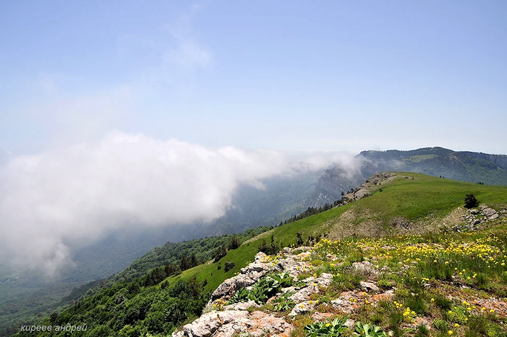 Алуштинский Горно-Лесной заповедник