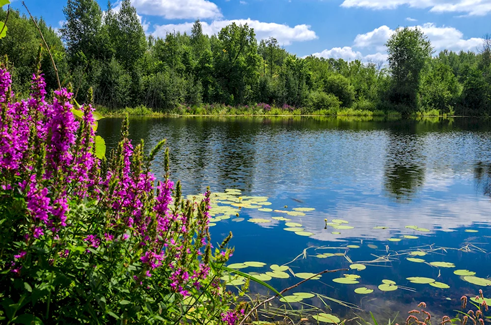 Архимандритское озеро