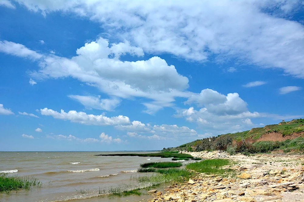 Азовское море Таганрог