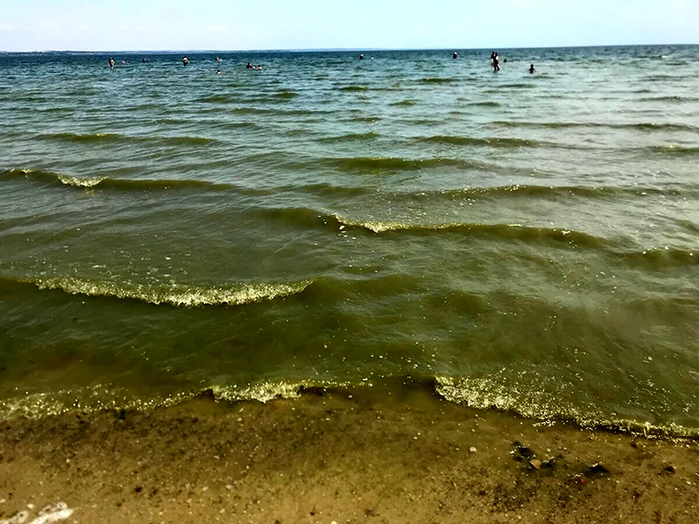 Азовское моретагонрог