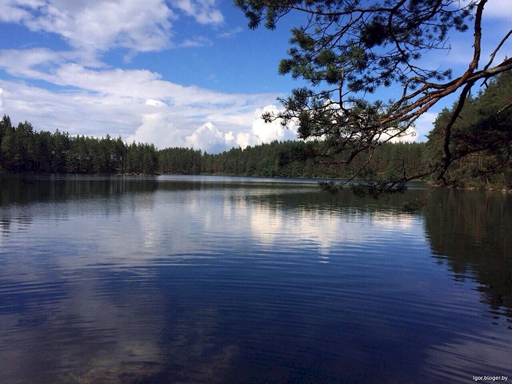 Белое озеро РБ