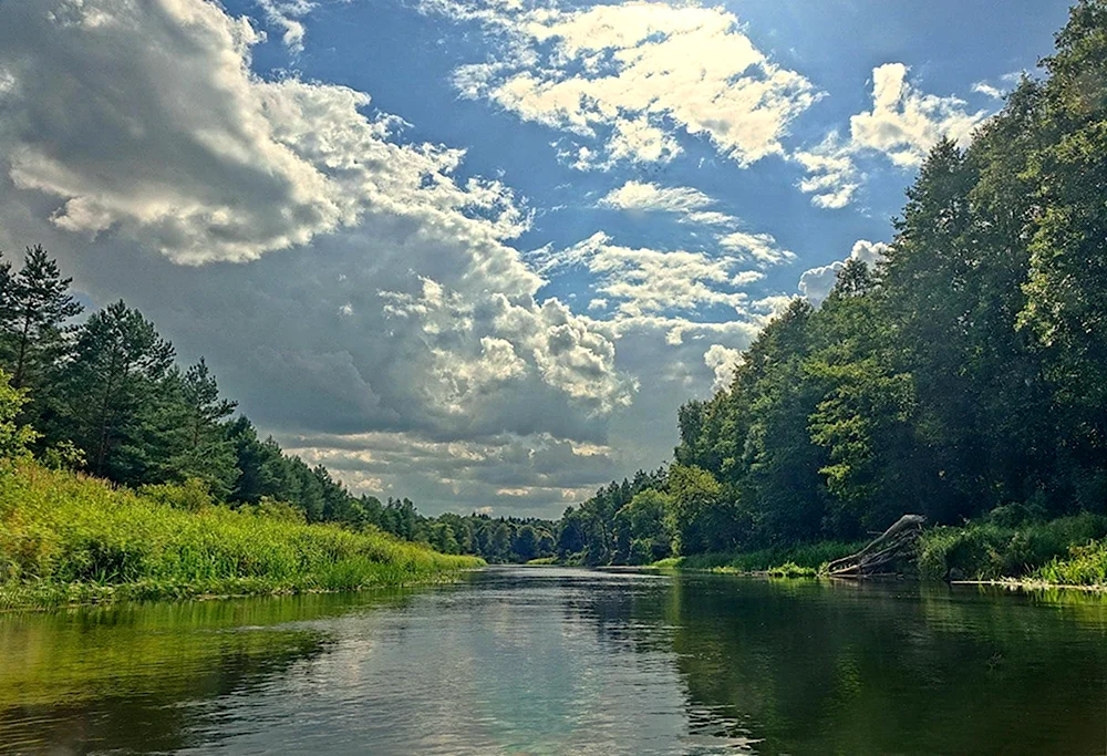 Березина Нижний приток Днепра