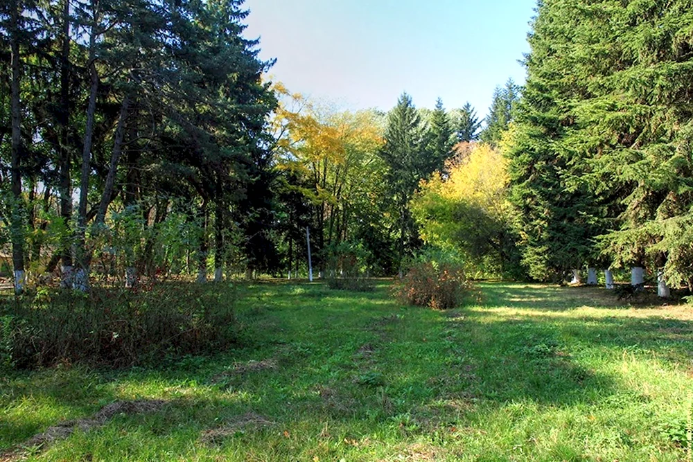 Бричаны парк