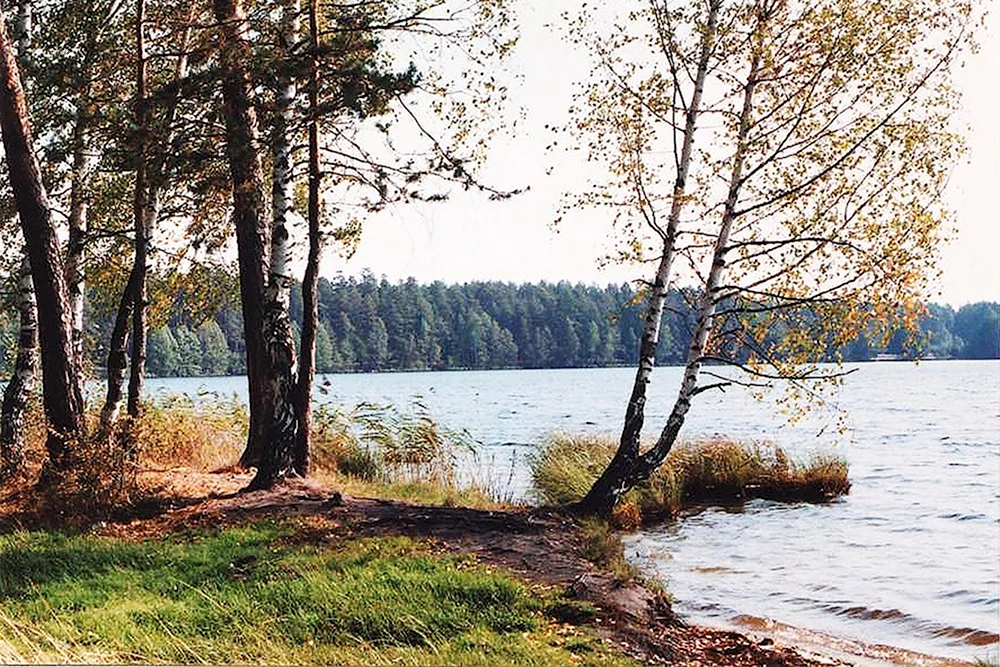 Черное озеро Шатура Бордуки