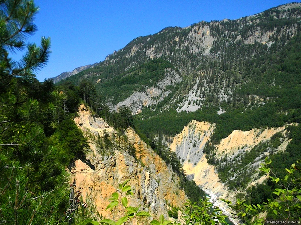 Черногория парк скала