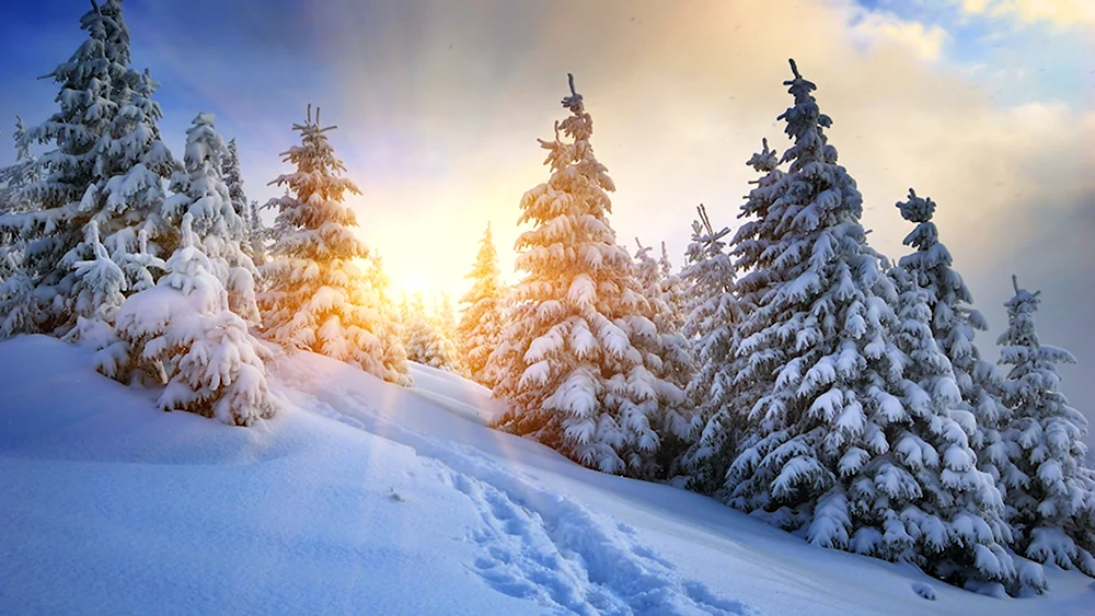 Christmas Chill альбом