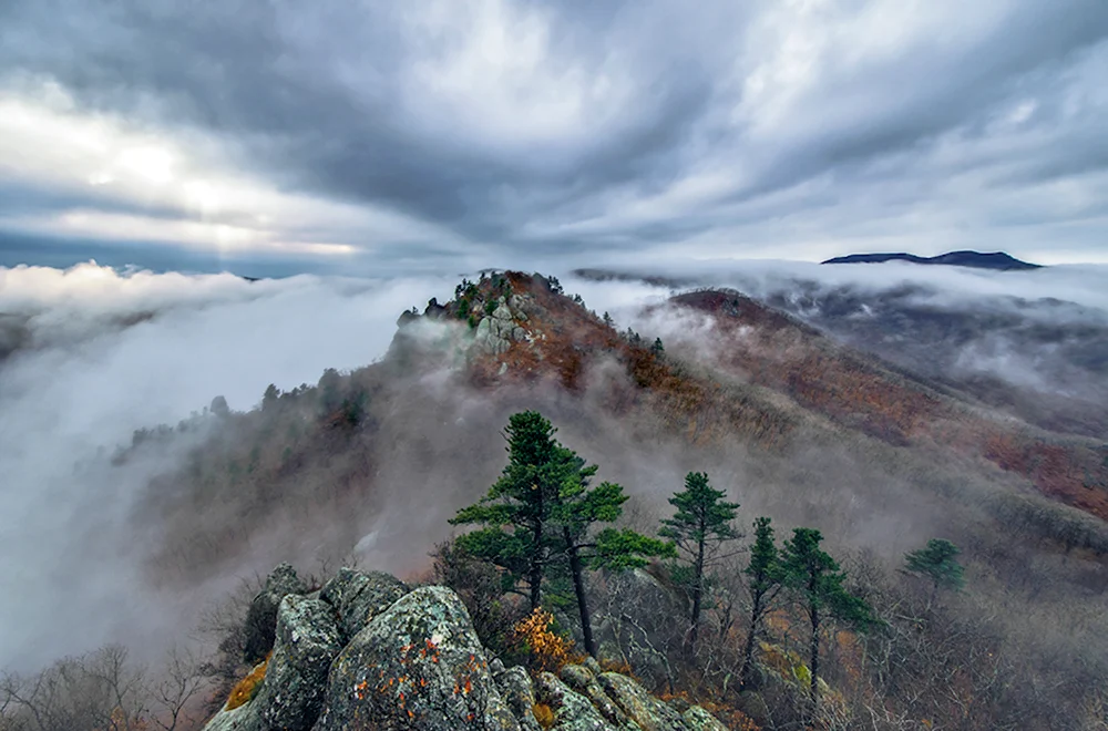 Дикая природа России National Geographic