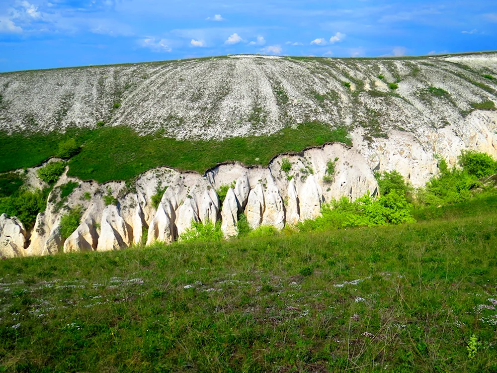Дивногорье каньон