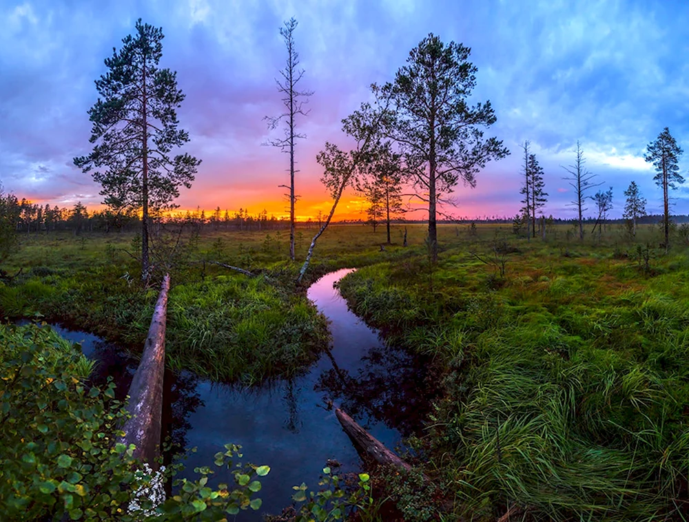 Фёдор Лашков фотограф река