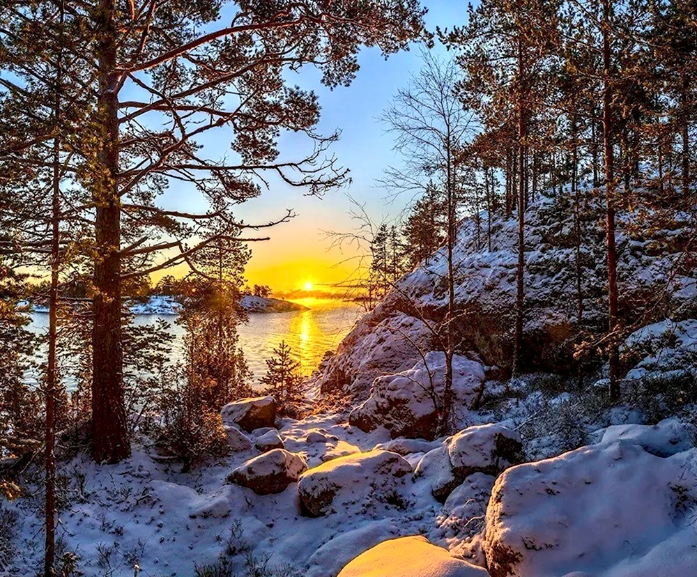 Фёдор Лашков Карелия