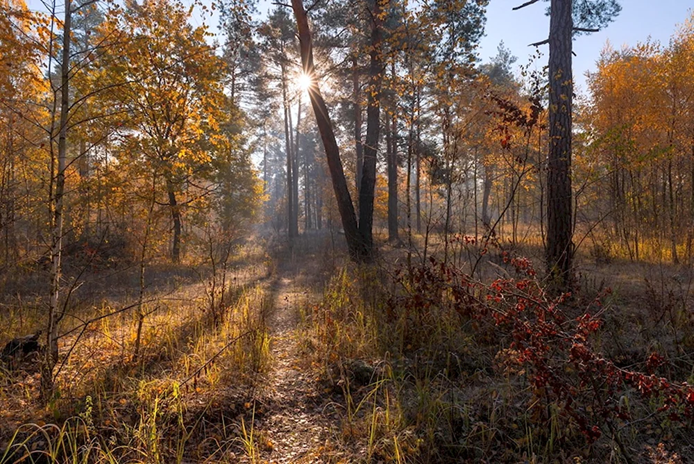 Галанзовская Оксана фотограф