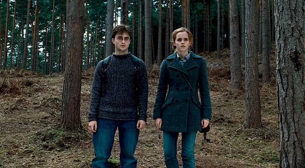 Гарри Поттер и дары смерти часть i фильм 2010