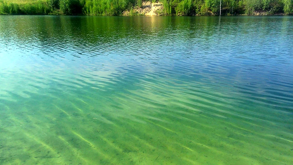 Голубая вода Донской Тульская область
