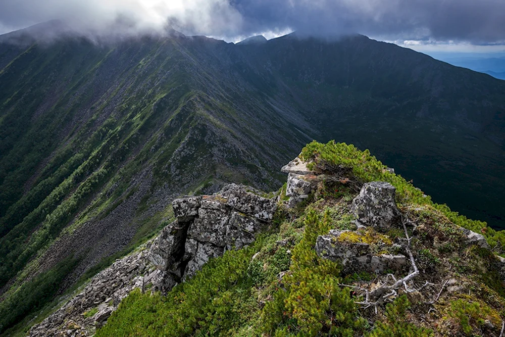 Гора аник Приморский край