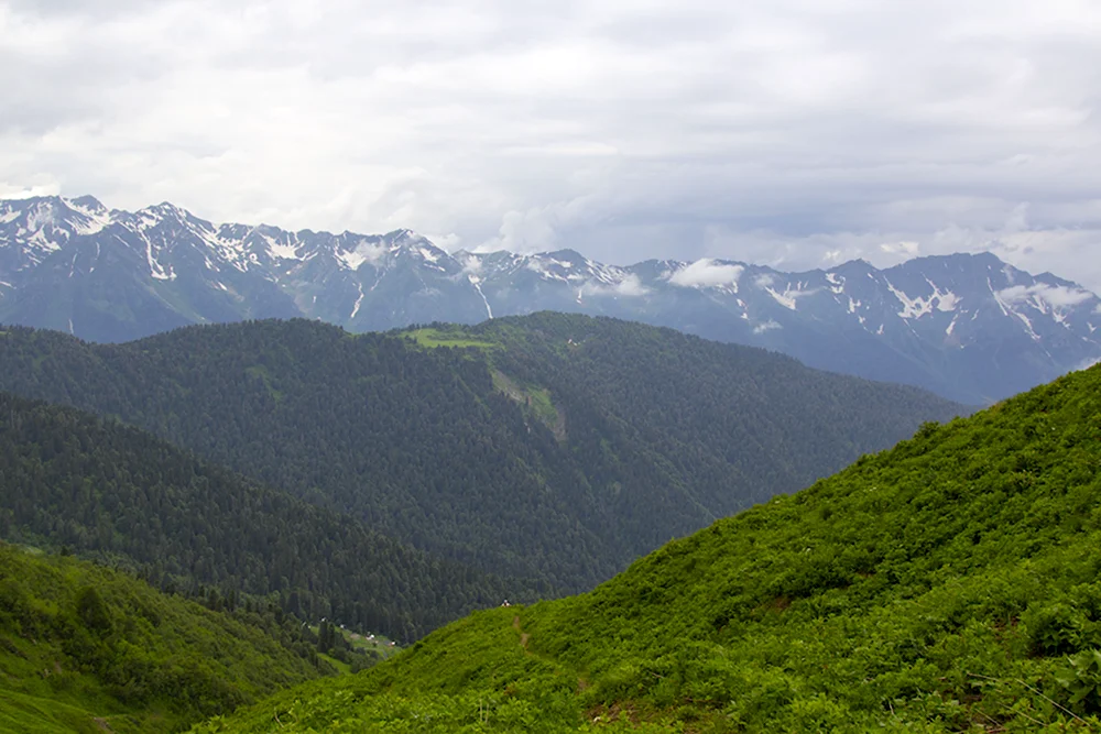 Гора большая Чура Сочи