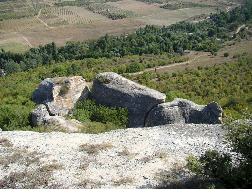 Гора возле с.танковое