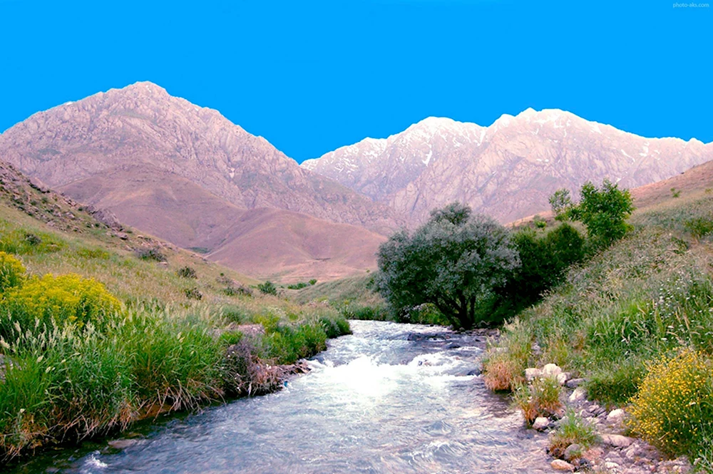 Иран природа Сахра