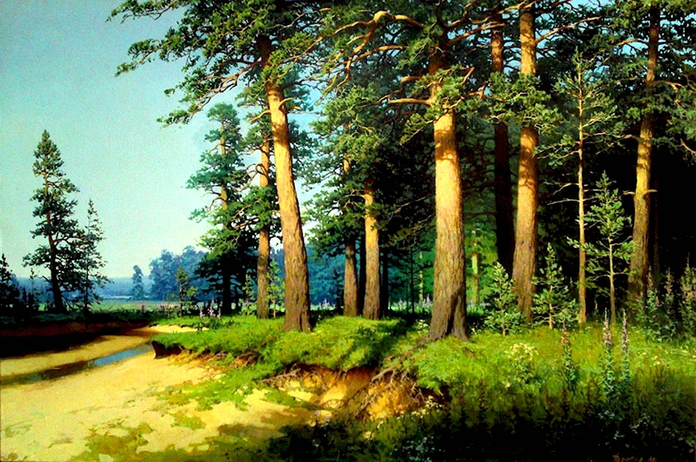 Иван Иванович Шишкин заповедник. Сосновый Бор