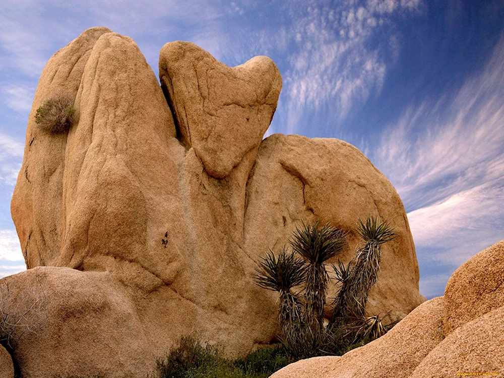 Joshua Tree National Park камни