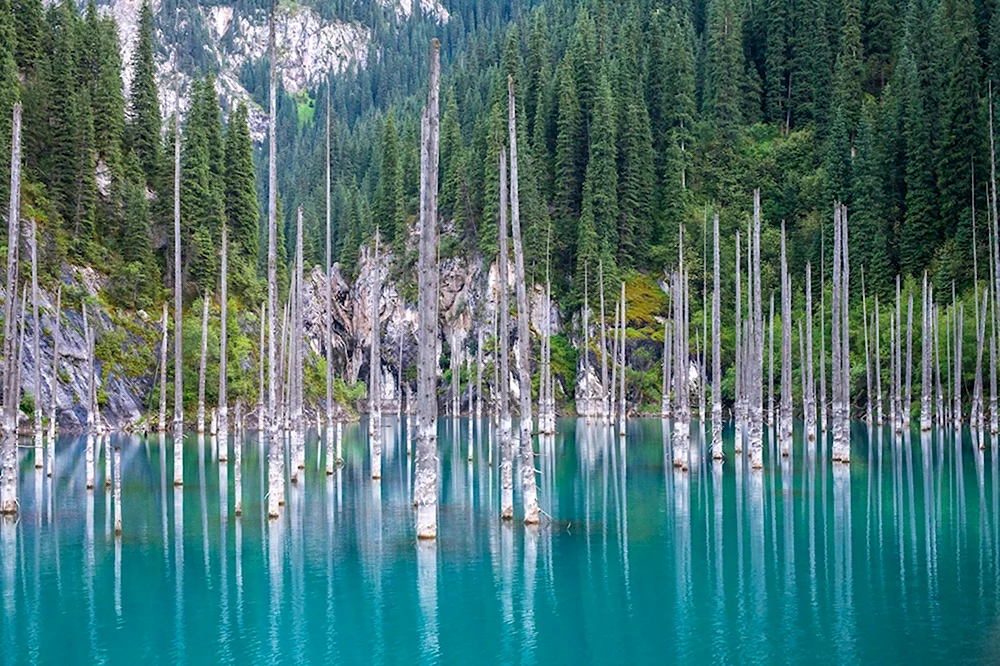 Каинды Казахстан