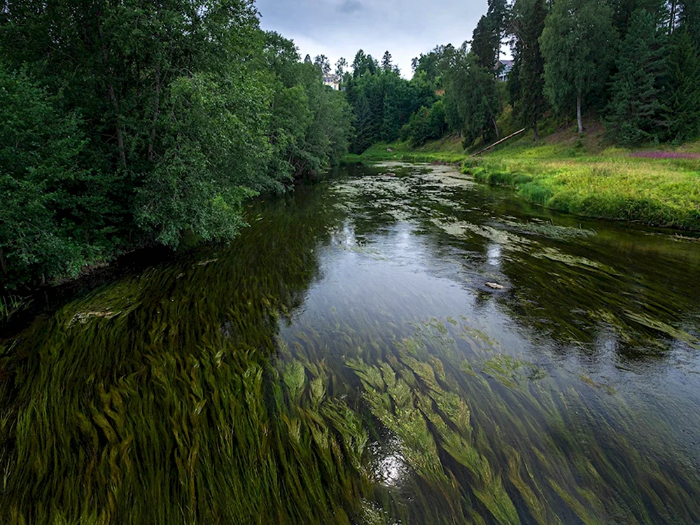 Каньон реки Оредеж