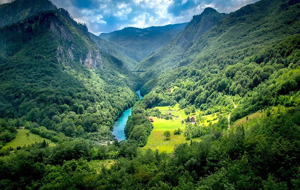 Каньон тара Черногория