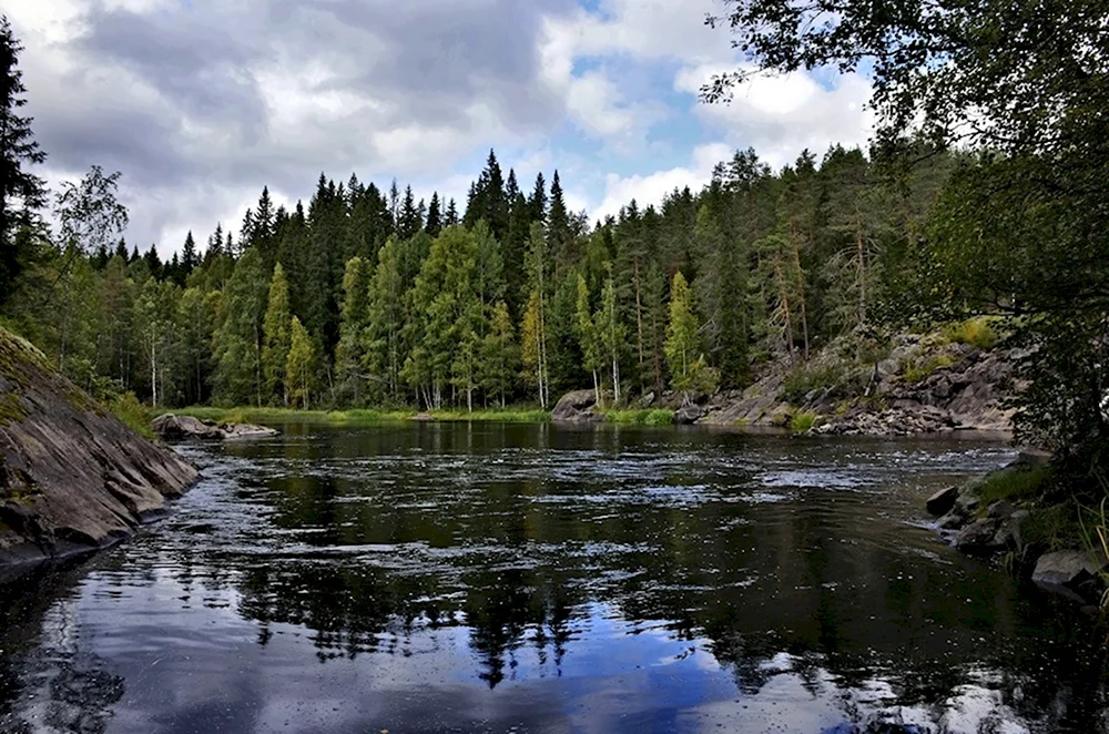 Карелия Таежные реки