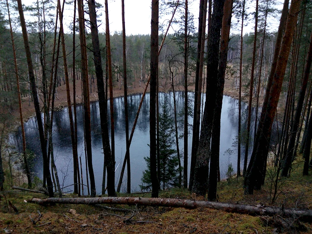Карстовые озера Фролищи