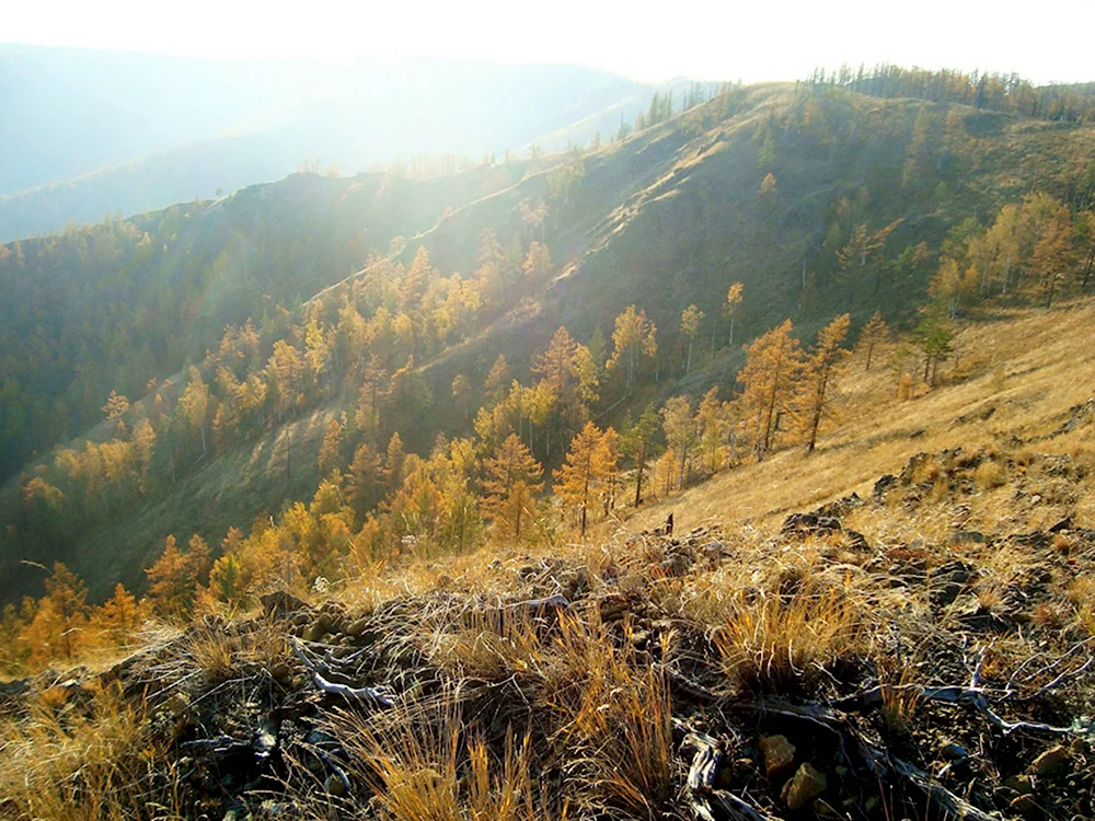 Хребет крака Башкирия