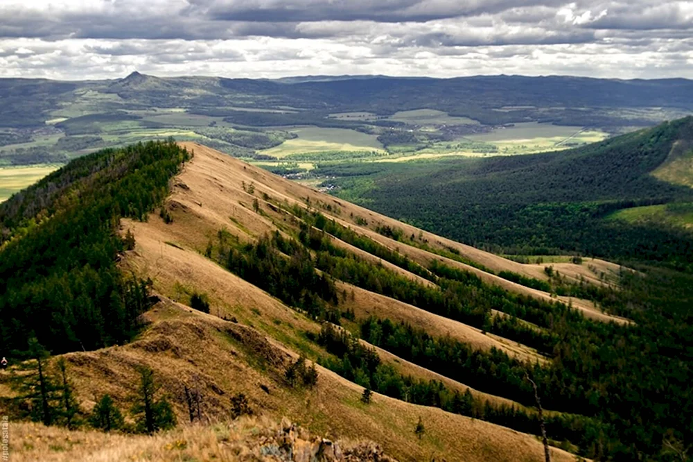 Хребет крака Белорецкий район