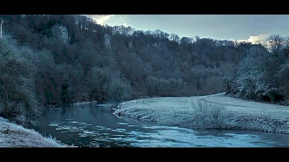 Королевский лес Дин Гарри Поттер