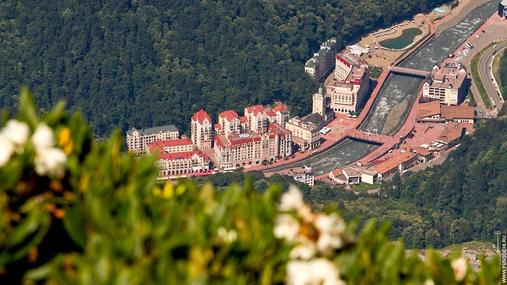 Красная Поляна роза Хутор