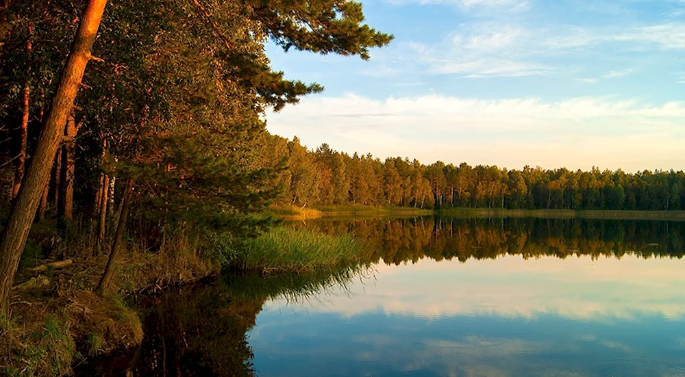 Круглое озеро Брянск