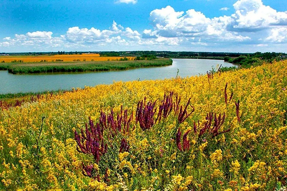 Кубань Краснодарский край