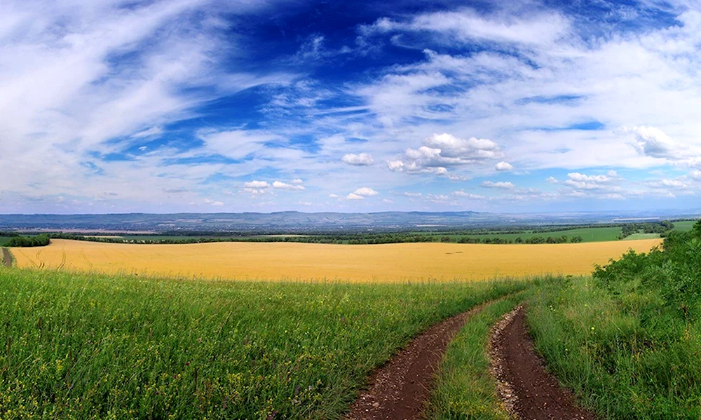 Кубанская степь Краснодарский край