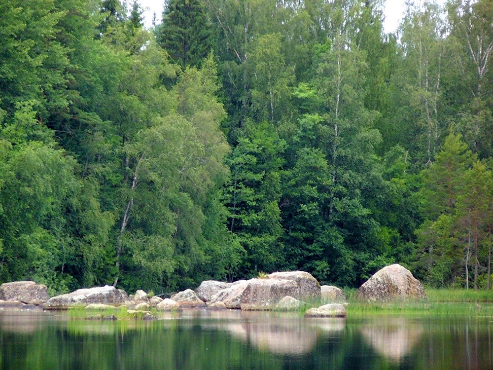 Ламское озеро Выборгский район