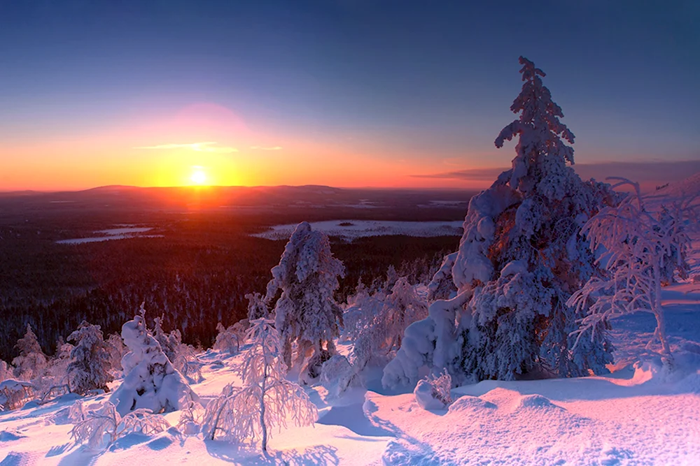 Лапландский заповедник зима