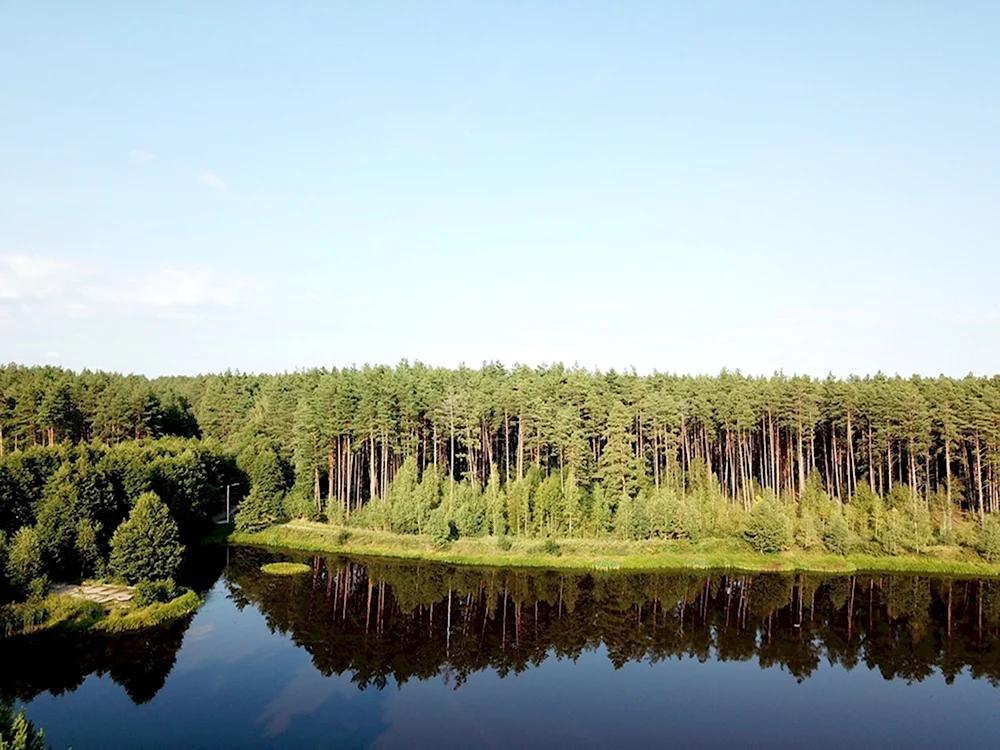 Лужковский лес