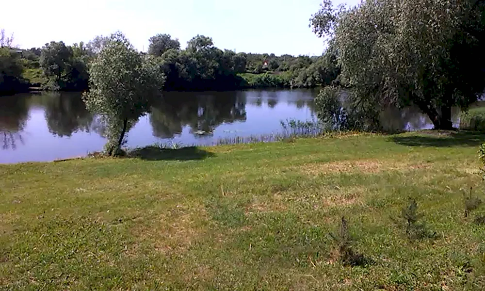 Лужковский пруд