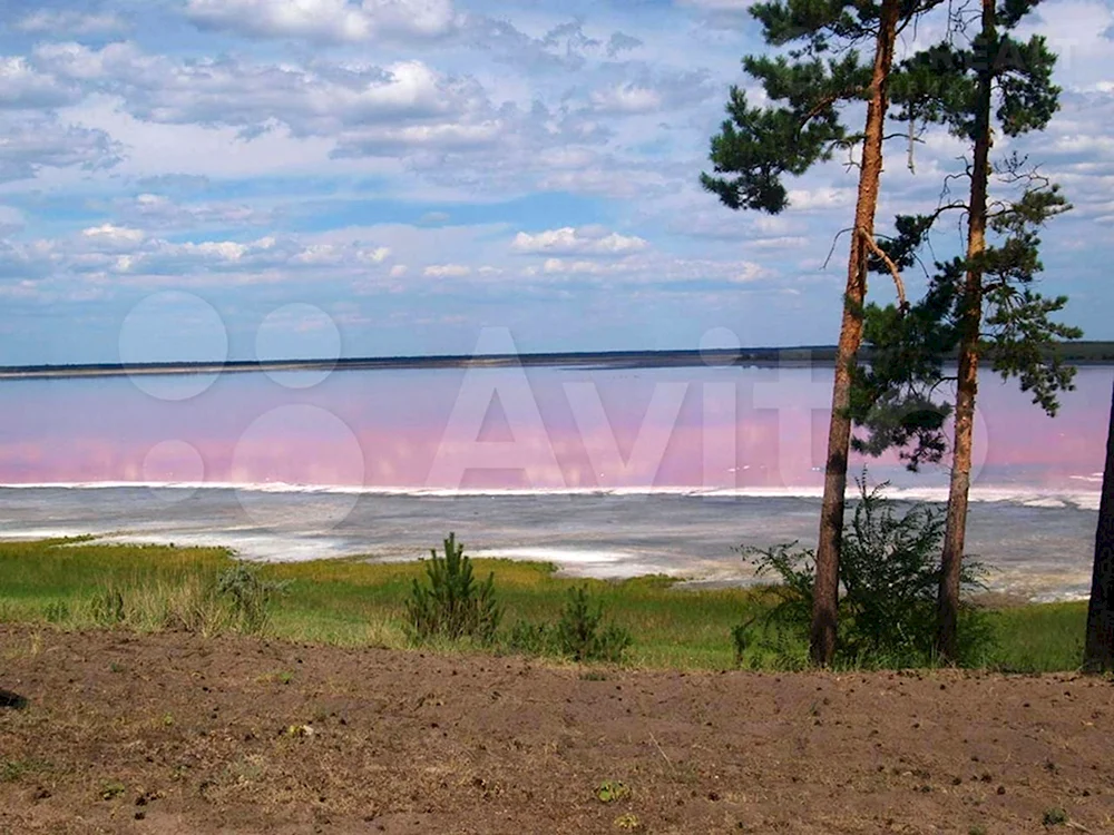 Малиновое озеро Алтайский край Михайловский район