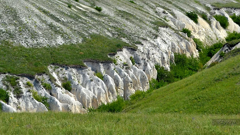 Меловые горы Дивногорье Воронежской