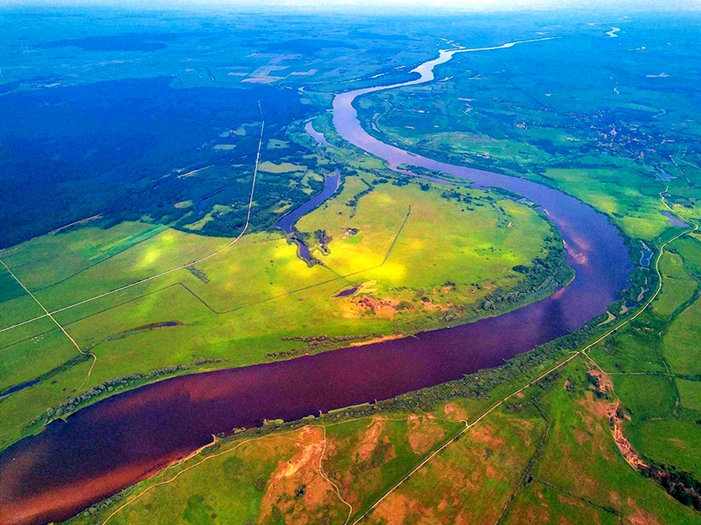 Неман Калининград река