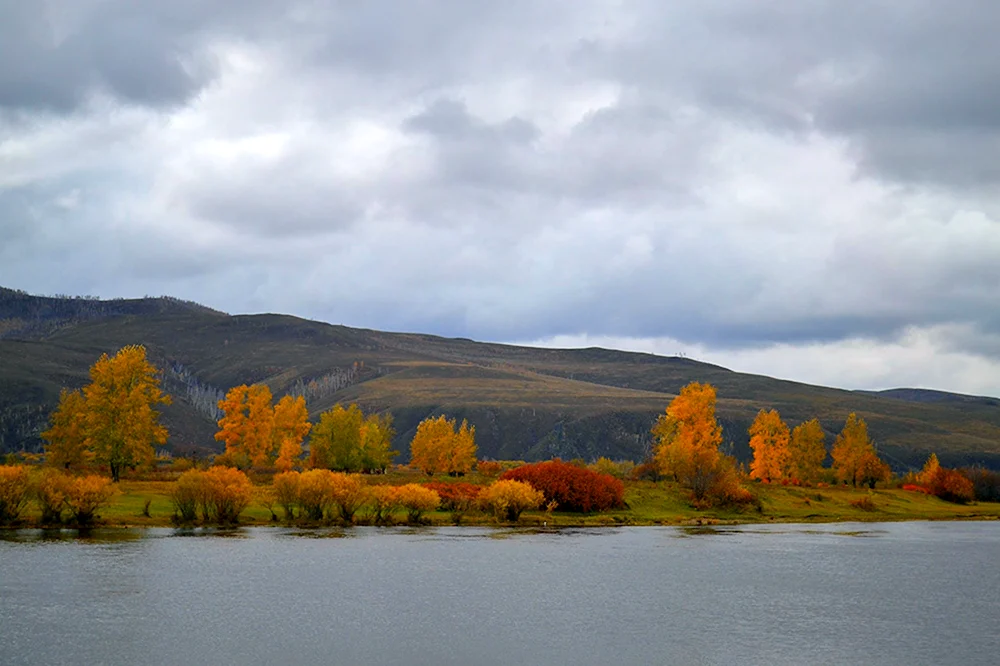 Нерчинск река Нерча