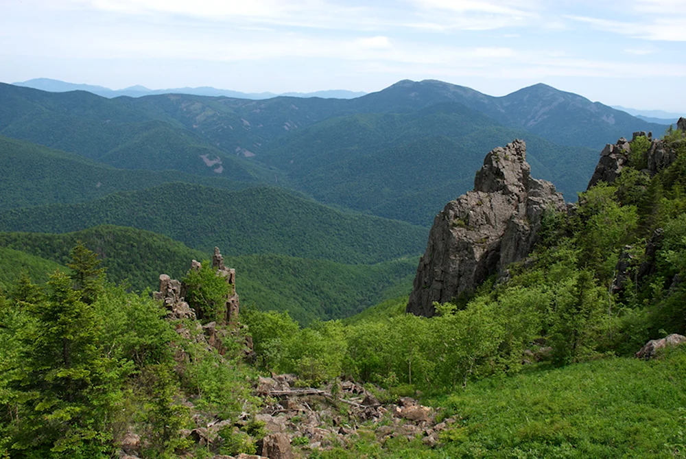 Ольховая гора Приморский