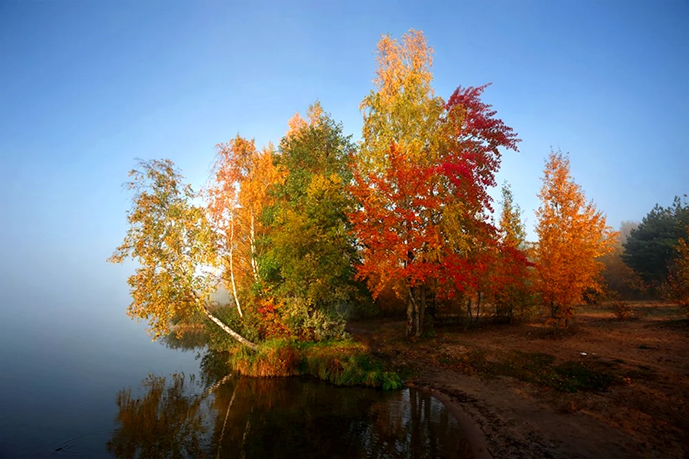 Осень