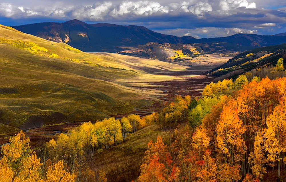 Осень холмы