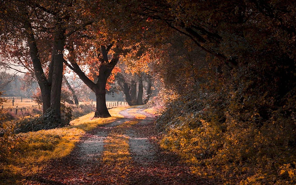 Осень Сумерки