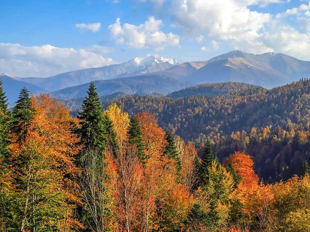 Осень в горах Адыгеи