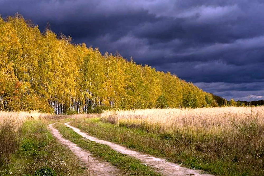 Осеннее поле пасмурно