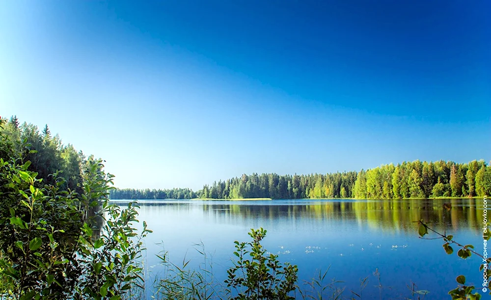 Озеро Боровно Окуловский район